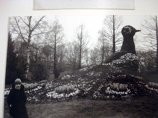 Blumeninsel Mainau 1980